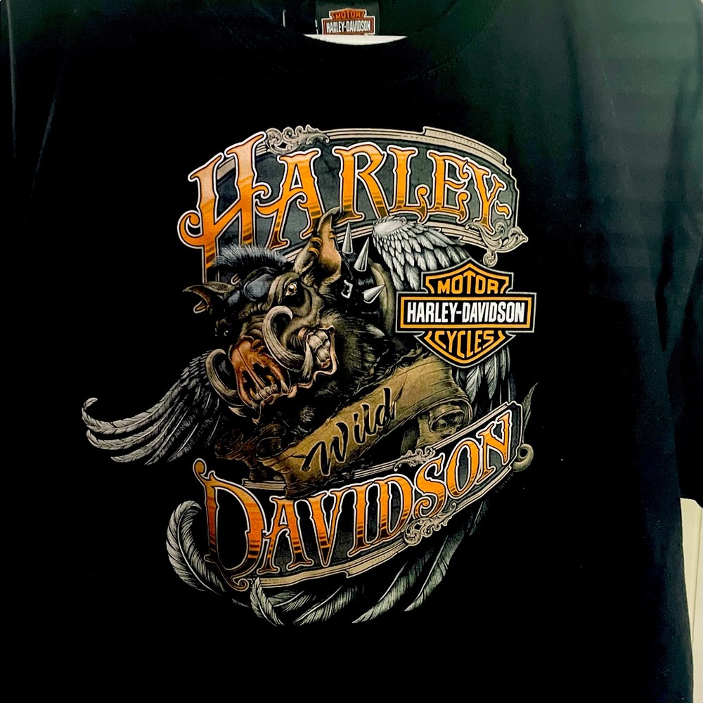 Harley Davidson Mens Tee Shirt